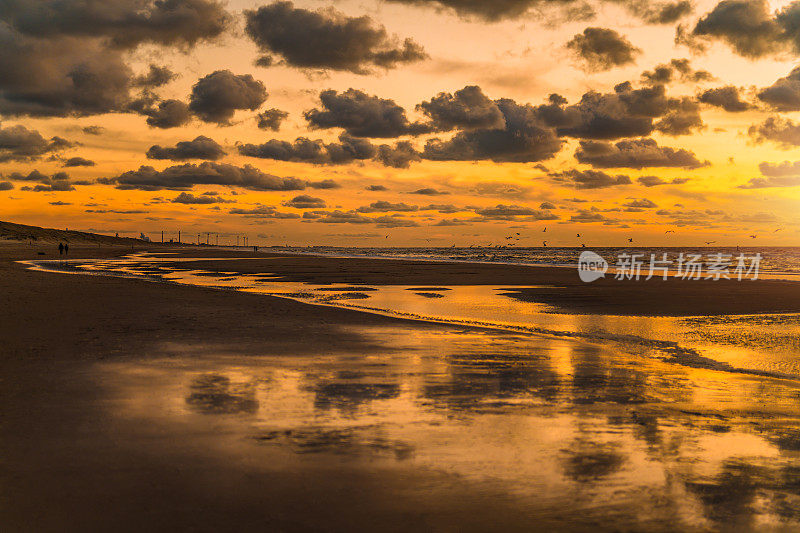 Beach on North sea during sunset.